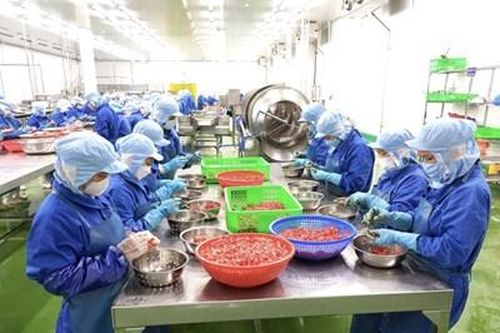 Những dấu ấn mới trên thị trường thế giới