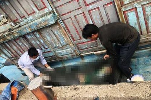 Công an Đà Nẵng tìm thân nhân 1 thi thể nữ nổi trên biển
