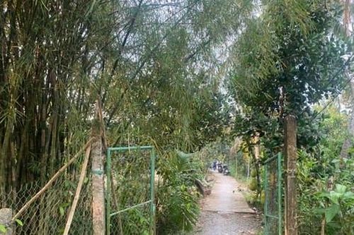 Nổ súng vì mâu thuẫn trong vườn sầu riêng, một người tử vong