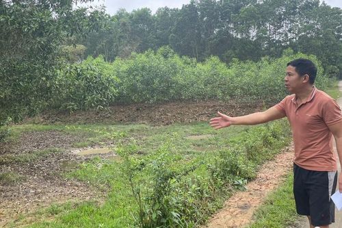 Cấp đất sai, thu tiền vội vì bị 'ép chỉ tiêu', 'treo' luôn hàng chục sổ đỏ?