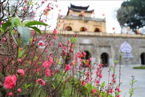 Điểm tựa vững chãi để văn sĩ, trí thức 'dấn thân' đưa đất nước phát triển