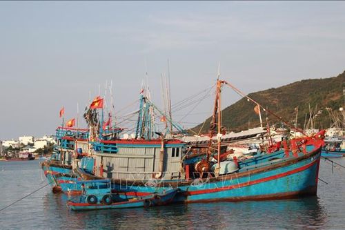Nhiều chủ tàu lo lắng vì thiếu lao động đi biển