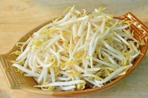 Giá đỗ - Thực phẩm rẻ tiền nhưng mang đến cho cơ thể muôn vàng lợi ích nếu ăn theo cách này