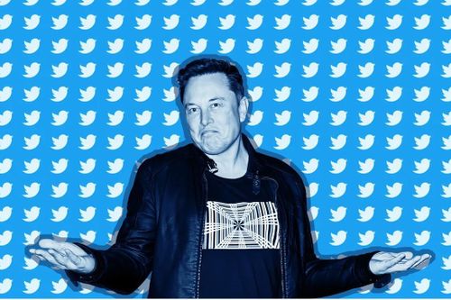 Chỉ người dùng dịch vụ Twitter Blue mới được phép xác thực tài khoản bằng SMS
