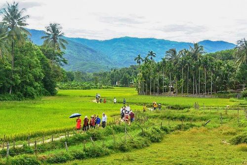 Sẽ tái hiện nhiều hoạt động văn hóa truyền thống tại Hội làng cổ Lộc Yên - Quảng Nam