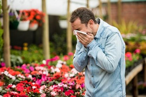 4 chất kháng histamin tự nhiên hỗ trợ điều trị dị ứng