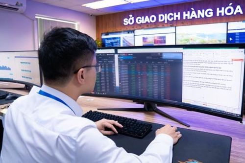 Hỏi đáp Giao dịch Hàng hóa (Số 2): Phân biệt Sở Giao dịch Hàng hóa và Sàn thương mại điện tử