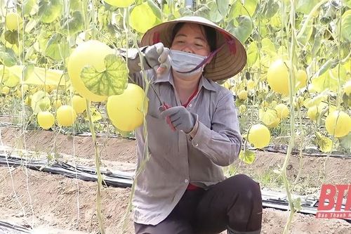 Chế biến để tăng sức cạnh tranh cho nông sản