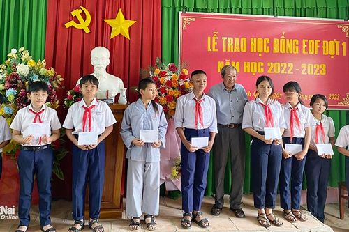 Khắp nơi trong tỉnh ngày 20-2-2023