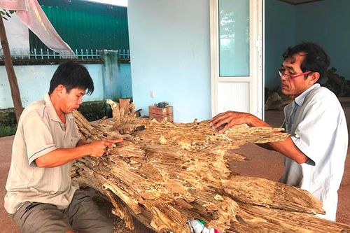Vạn Ninh: Xây dựng điểm du lịch làng nghề xoi trầm
