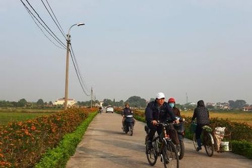 Hà Nội đấu giá hơn 10 ha đất làm cụm công trình thương mại dịch vụ