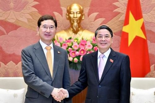 Phó Chủ tịch Quốc hội Nguyễn Đức Hải tiếp Đoàn đại biểu Quốc hội Hàn Quốc