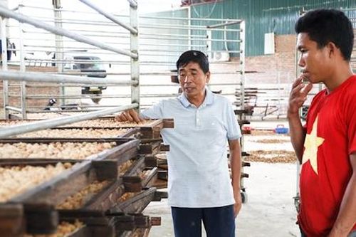 Khoa học công nghệ giúp nâng cao giá trị thương hiệu nông sản HTX