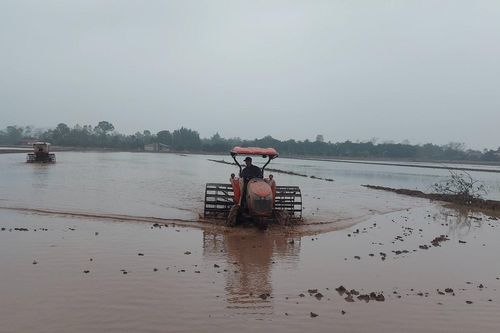 Hà Nội cơ bản hoàn thành lấy nước gieo cấy vụ xuân