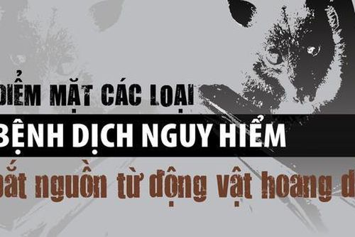 iểm mặt các loại bệnh dịch nguy hiểm bắt nguồn từ động vật hoang dã