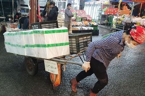Oằn mình trong đêm lạnh Hà Nội