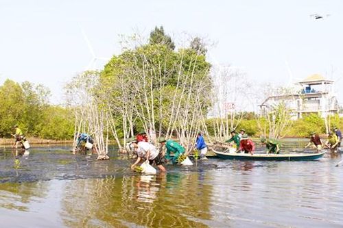 Phát động trồng rừng 'sống khỏe góp xanh' tại Bạc Liêu