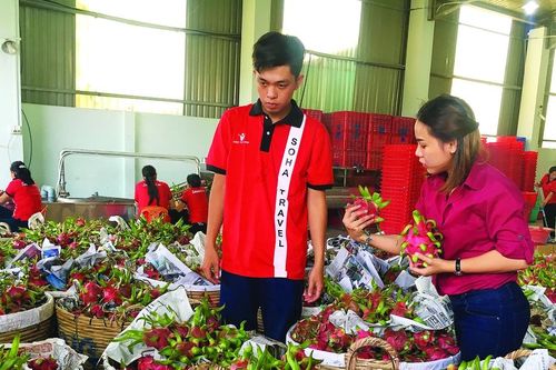 Tìm hướng ra bền vững cho nông sản