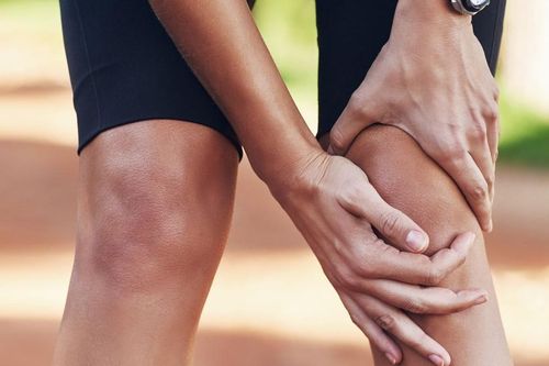 Nhật Bản cấy ghép thành công sụn khớp làm từ tế bào iPS trên khỉ