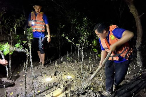Năm 2023, tỉnh Bến Tre sẽ phát triển thêm 171ha rừng