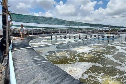 Bến Tre không ngừng đổi mới, nâng cao hiệu quả xúc tiến đầu tư