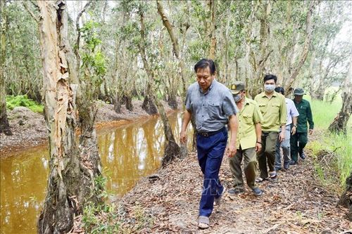 An Giang: Khoanh vùng trọng điểm phòng, chống cháy rừng mùa khô