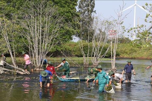 Phát động trồng rừng ven biển Bạc Liêu