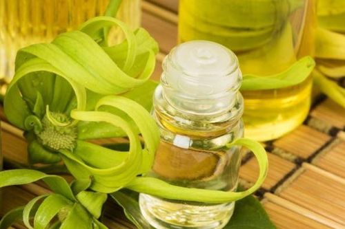 8 loại tinh dầu giúp giảm đau khớp và đầu gối hiệu quả