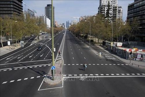 Thủ đô Madrid hủy kế hoạch chặt cây xanh để mở rộng tuyến tàu điện ngầm