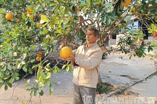 'Đầu tàu' ở Na Tranh