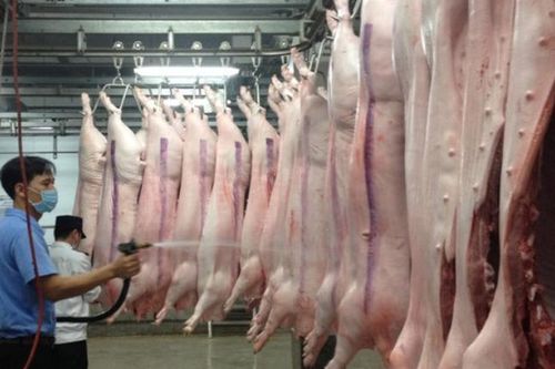 Gia Lai: Tăng cường quản lý, kiểm soát giết mổ động vật