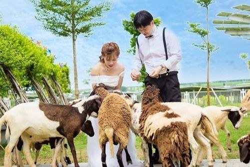 Điều chưa biết về địa điểm chụp ảnh cưới hút khách ở An Giang