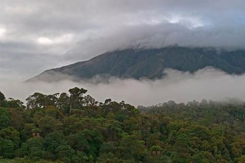 Papua New Guinea tiến hành chiến dịch giải cứu con tin rầm rộ