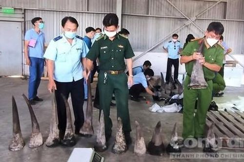 Giám đốc các doanh nghiệp 'ma' buôn 300 tỷ đồng ngà voi, sừng tê giác
