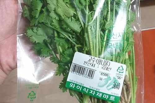 Choáng với giá của rau mùi dù bị ghét bỏ ở Hàn Quốc vẫn được bán với giá siêu đắt, mua một mớ bằng giá mua cả tạ ở Việt Nam