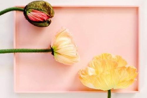 Âm đạo thay đổi như thế nào theo thời gian và 'chuyện ấy' có trở ngại?