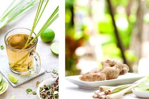 7 công thức trà thảo dược tăng cường miễn dịch, phòng chống cảm lạnh và ho