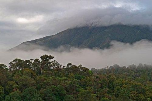 Giải cứu con tin ở Papua New Guinea