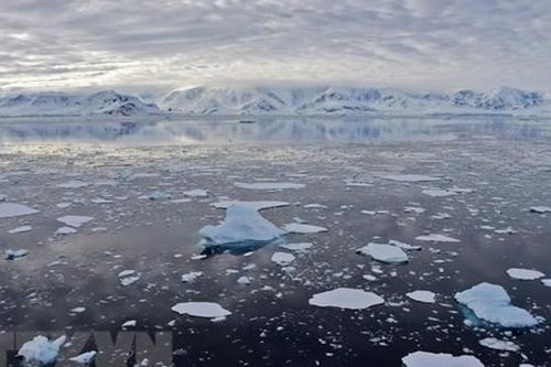 El Nino mạnh hơn khiến băng Nam Cực tan chảy 'không thể đảo ngược'