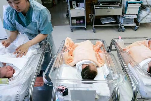 Quốc gia phá kỷ lục tỷ lệ sinh thấp nhất thế giới