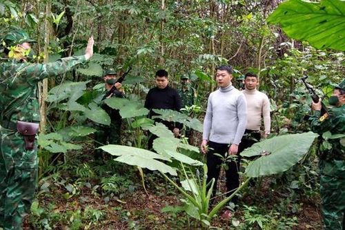 Hà Tĩnh: Triệt phá đường dây đưa người nước ngoài vượt biên trái phép