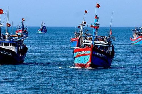Tham mưu chính sách hỗ trợ trực tiếp ngư dân, đoàn viên Nghiệp đoàn nghề cá khai thác xa bờ