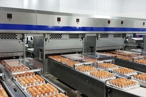 Hạn ngạch thuế quan nhập khẩu thuốc lá nguyên liệu, trứng gia cầm