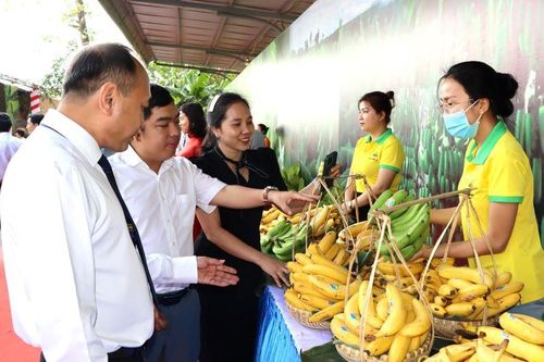 Thủ phủ chuối Đồng Nai xuất khẩu lô hàng đầu tiên sang Trung Quốc
