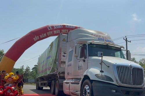 Đồng Nai: Khai trương xuất khẩu chuối tươi