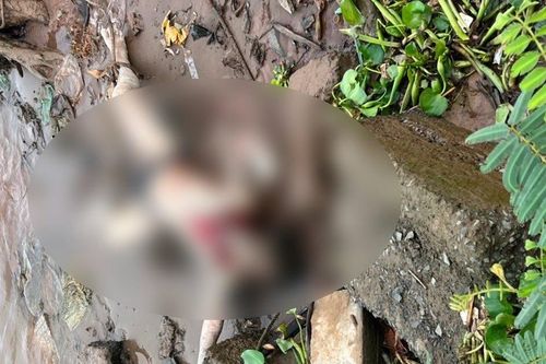 Vĩnh Long: Liên tiếp phát hiện thi thể trôi dạt trên sông