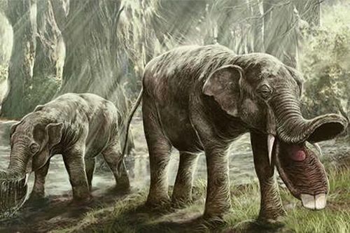 Hóa thạch sinh vật quái dị lộ ra, bí mật đại Tân sinh hé mở