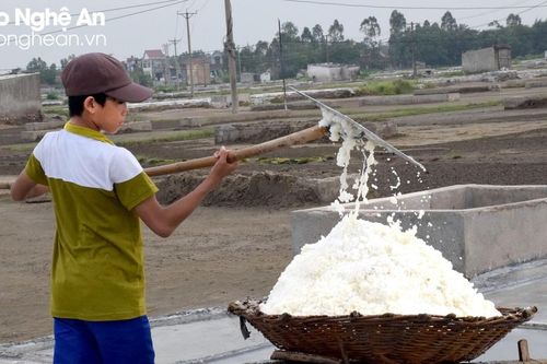 Nghệ An: Giá muối cao kỷ lục, diêm dân không có hàng để bán