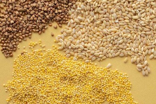Doanh nghiệp Việt lập chi nhánh tại Đặc khu Phát triển Mariel của Cuba
