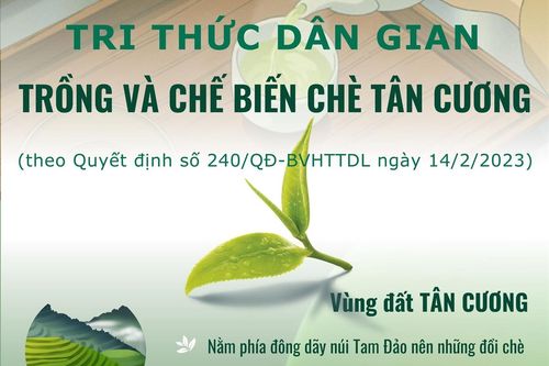 Tri thức dân gian trồng và chế biến chè Tân Cương - Di sản văn hóa phi vật thể quốc gia